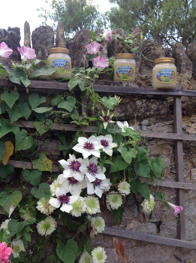 The Oak Lodge, Clematis Cottages, สแตมฟอร์ด ภายนอก รูปภาพ